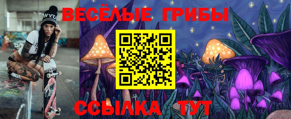 Псилоцибиновые грибы ЛСД Апатиты