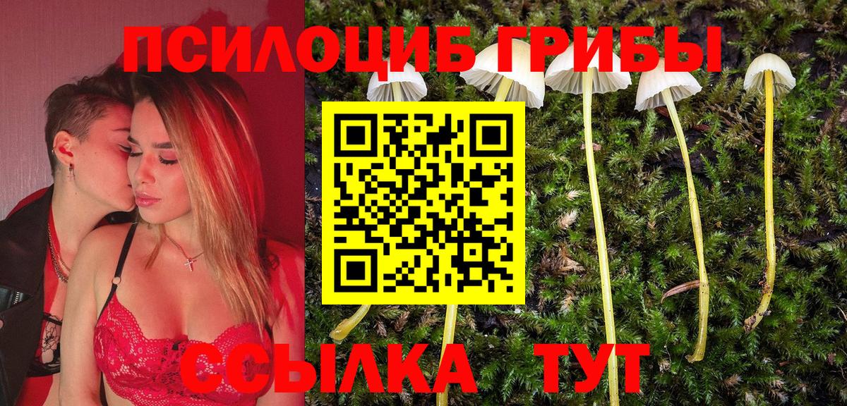 Апатиты  Псилоцибиновые грибы Psilocybe  Вход с VPN 